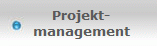 Projekt-
management